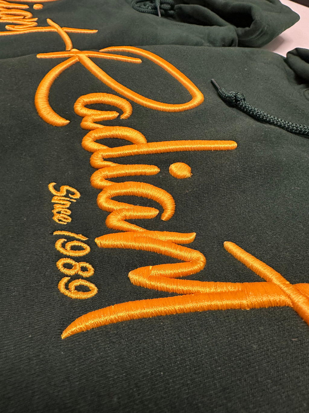 Omega Phi Beta “Radiant” 3d puff Hoodie