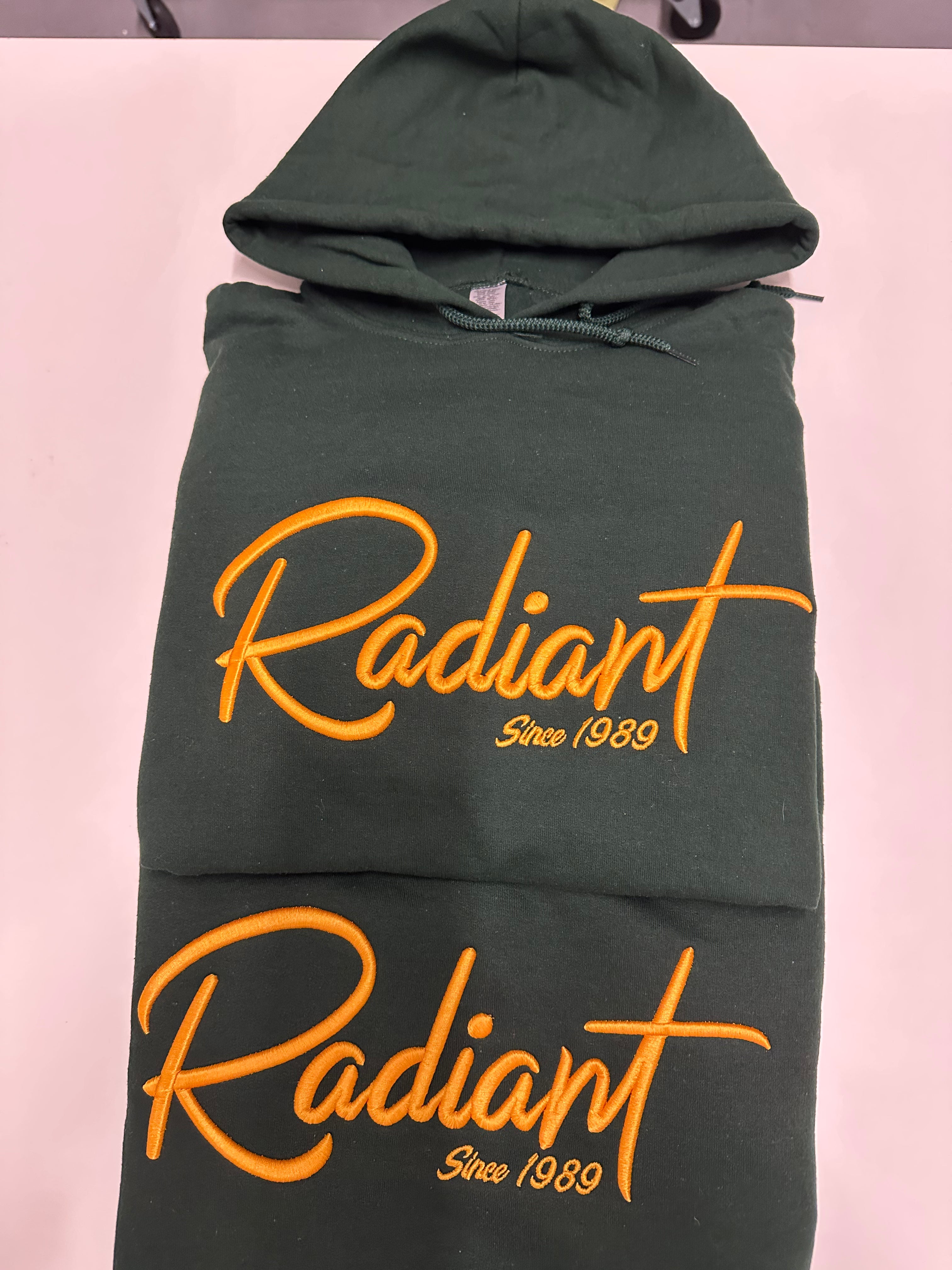 Omega Phi Beta “Radiant” 3d puff Hoodie