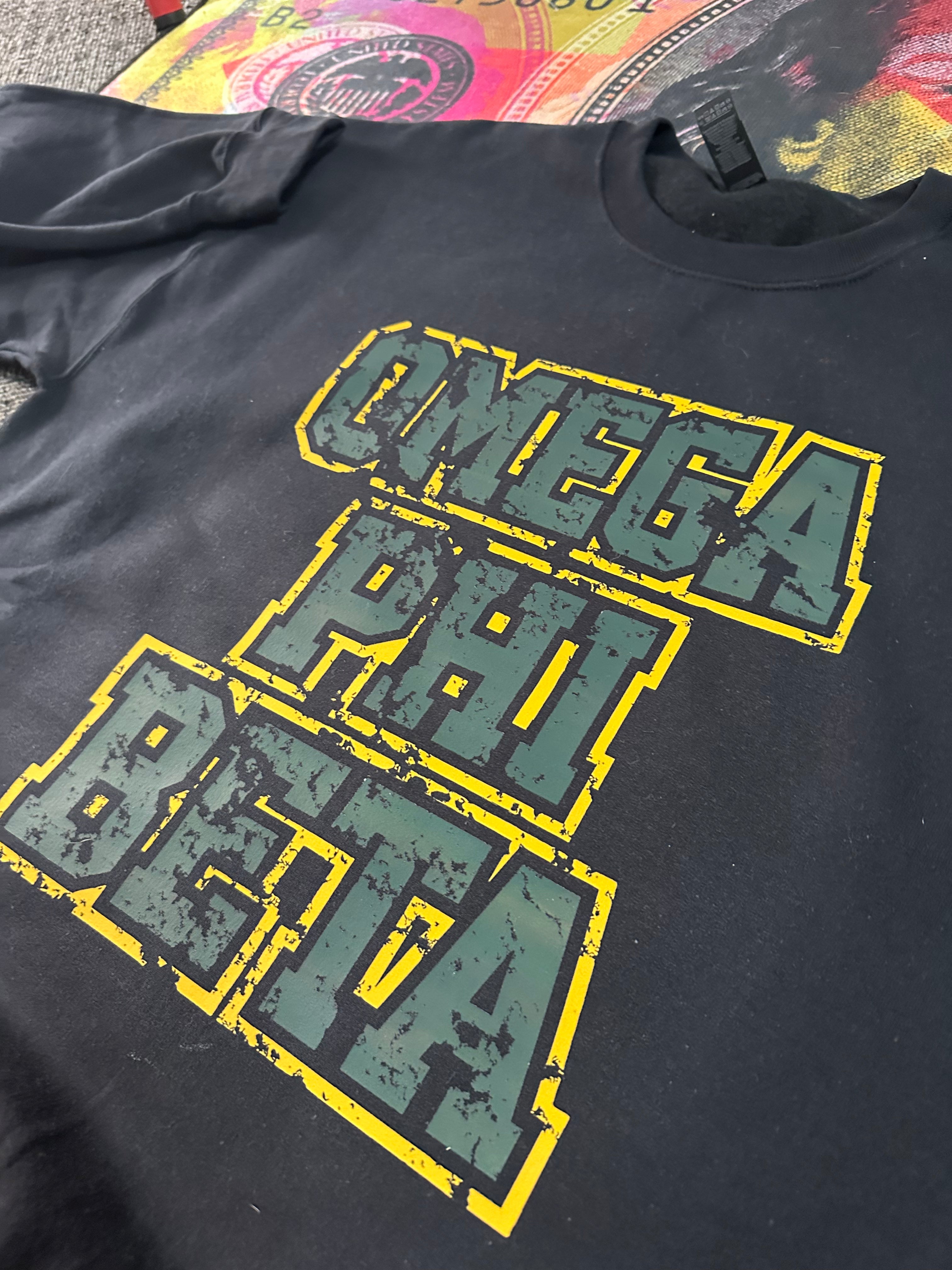 Omega Phi Beta - Distressed sweater.