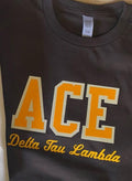 DELTA TAU LAMBDA - LINE POSITION SHIRTS