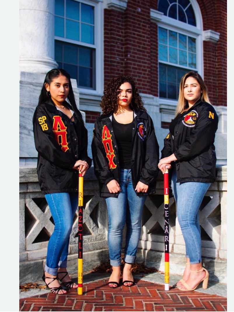 LAMBDA PI CHI - LINE JACKETS