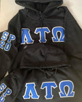 LAMBDA TAU OMEGA - GREEK LETTERED HOODIE