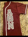LAMBDA THETA NU - BASEBALL JERSEY